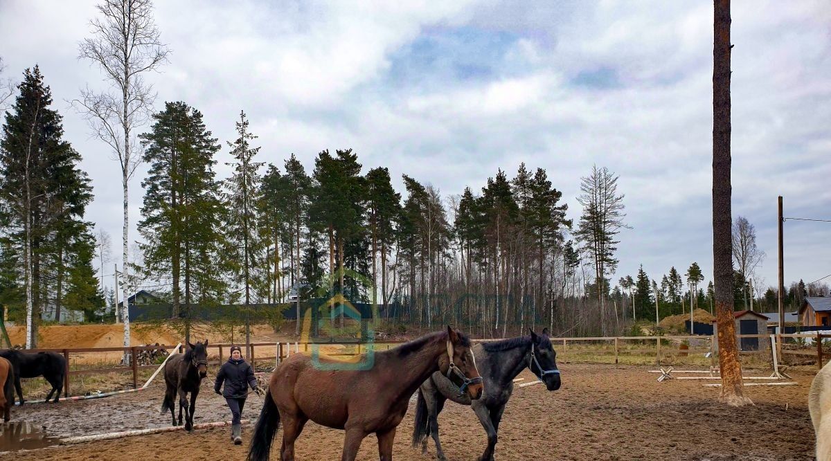 земля р-н Тихвинский снт Заречное Сертоловское городское поселение, ул. Аллейная, Всеволожский район фото 7