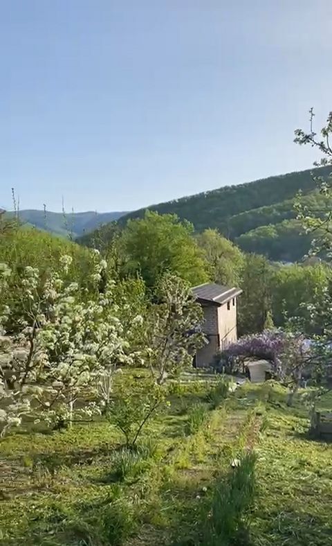 дом г Геленджик с Дивноморское с Михайловский Перевал ул Центральная 55 фото 2