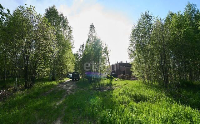 п Родионово ул Зеленая 17 р-н Советский Родионово фото