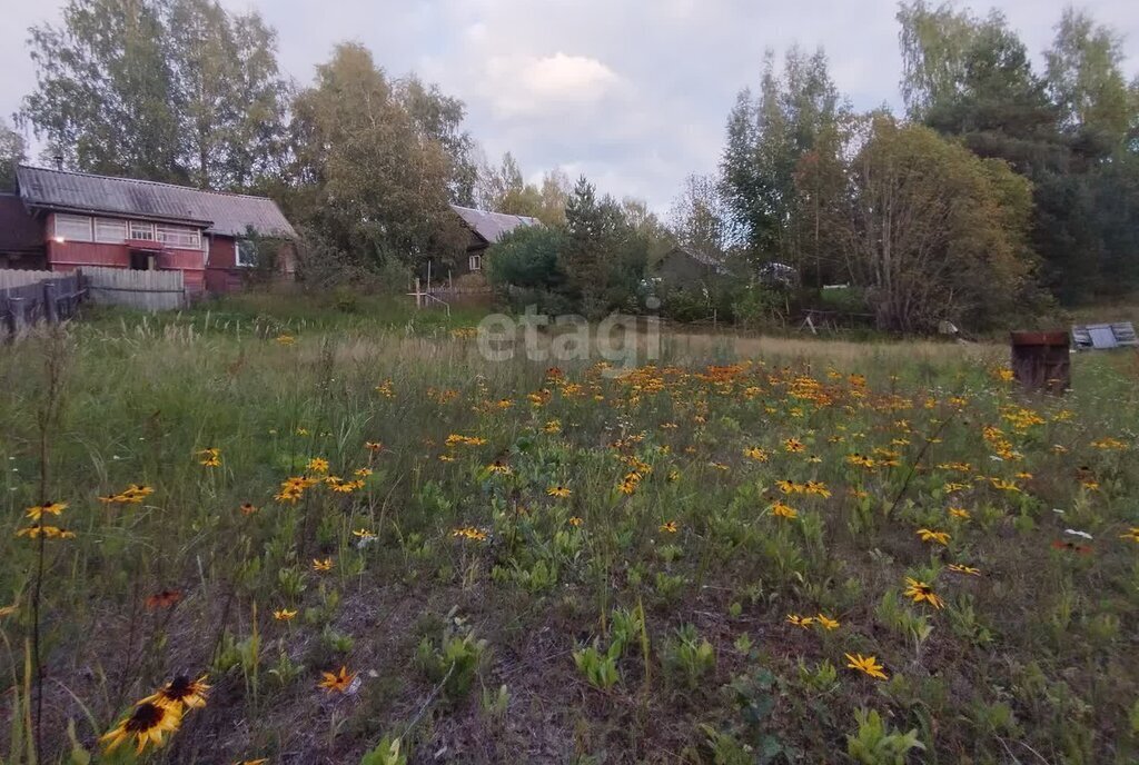 дом р-н Окуловский г Окуловка ул Каляева фото 18