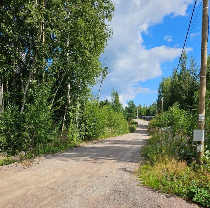 земля р-н Выборгский п Мамонтовка ул Компрессорная Приморское городское поселение фото 5