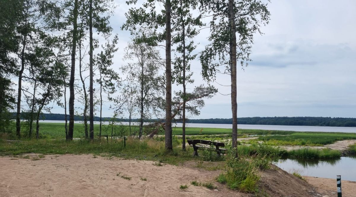 земля р-н Выборгский п Мамонтовка ул Компрессорная Приморское городское поселение фото 14