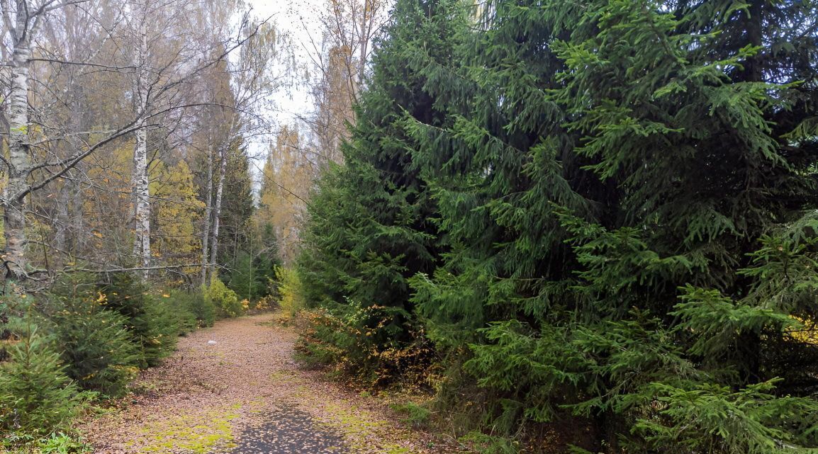 офис городской округ Солнечногорск д Судниково фото 8