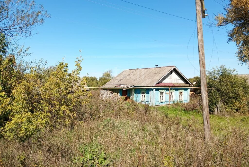 дом р-н Большеберезниковский с Пермиси ул Республиканская фото 4