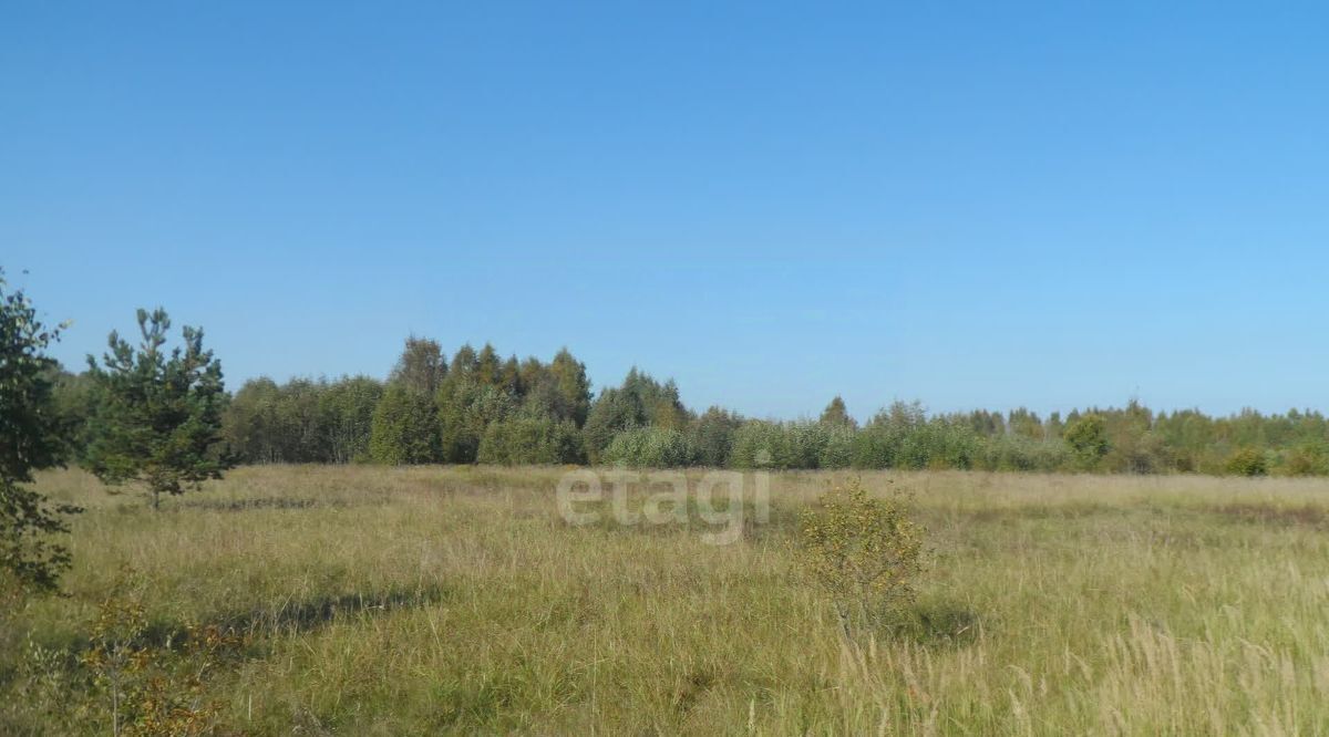 земля р-н Островский д Тишино Бережанская волость фото 1