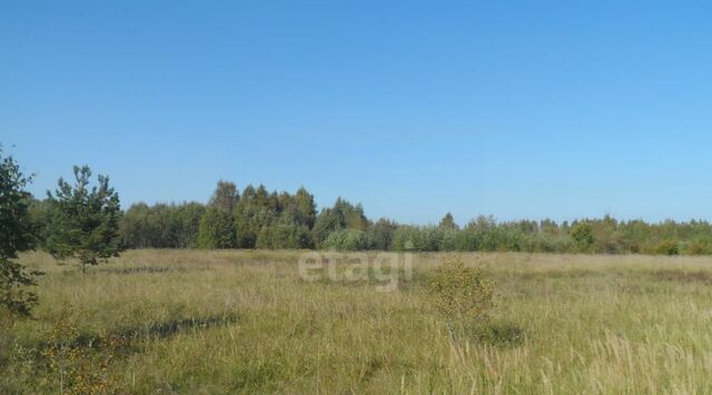 Бережанская волость фото