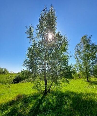 земля п Филимонковское ТиНАО направление Курское (юг) ш Калужское 9757 км, р-н Вороново, Московская область, ЛМС, квартал № 100 фото