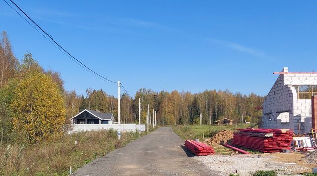 ул Центральная Лобня фото