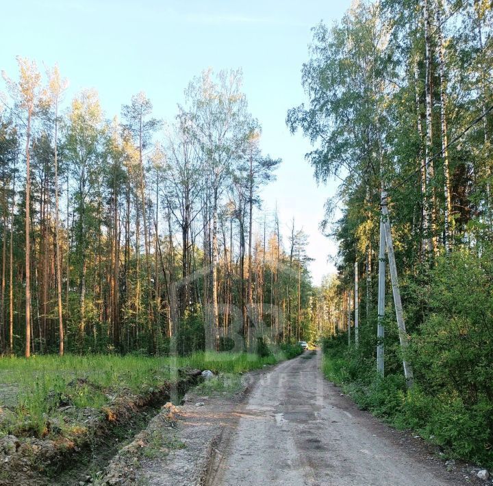 земля р-н Всеволожский снт Пороги ул 1-я Лесная Свердловское городское поселение, Ломоносовская фото 5