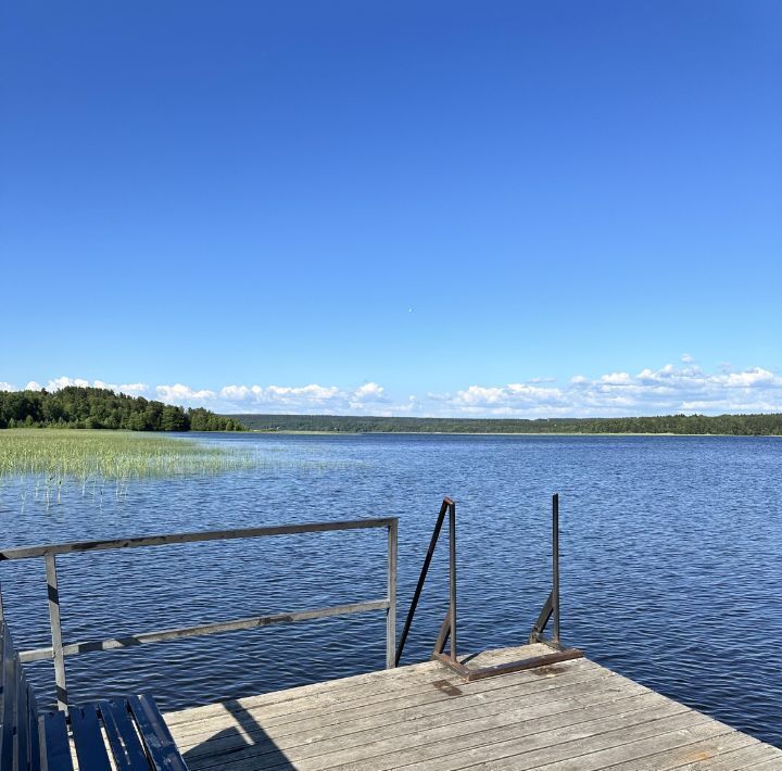 дом р-н Выборгский Рощинское городское поселение, Карелия-1 СНТ фото 21