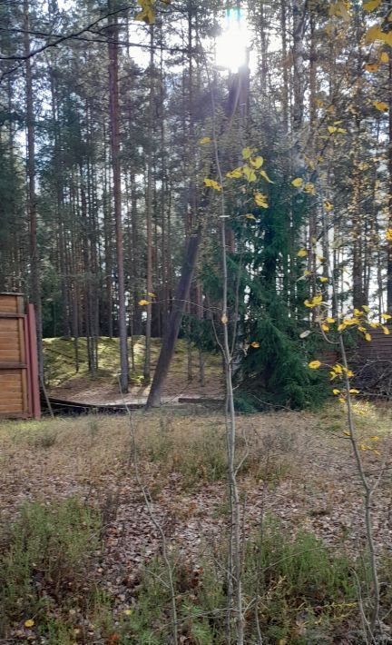 земля р-н Лужский Толмачево городской поселок, ул. Смоляная, 26 фото 5