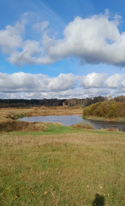 земля р-н Лужский Толмачево городской поселок, ул. Смоляная, 26 фото 18