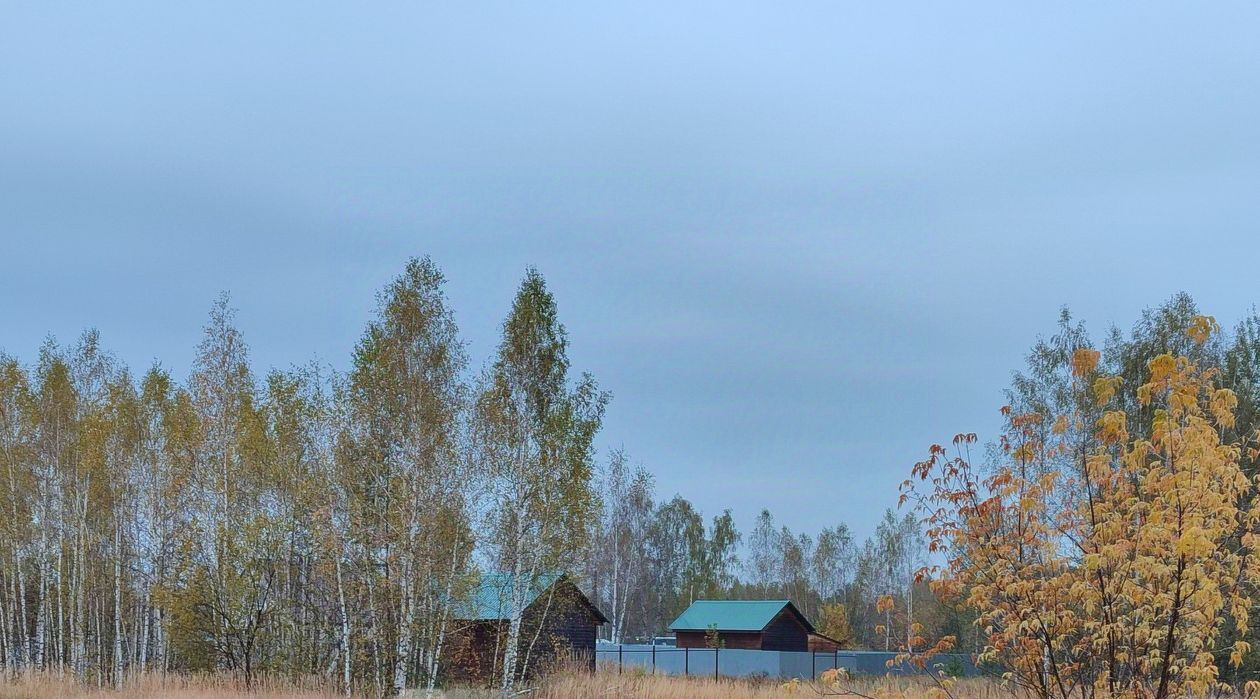 земля городской округ Шатура п Шатурторф снт Огонек Выхино, 91 фото 42