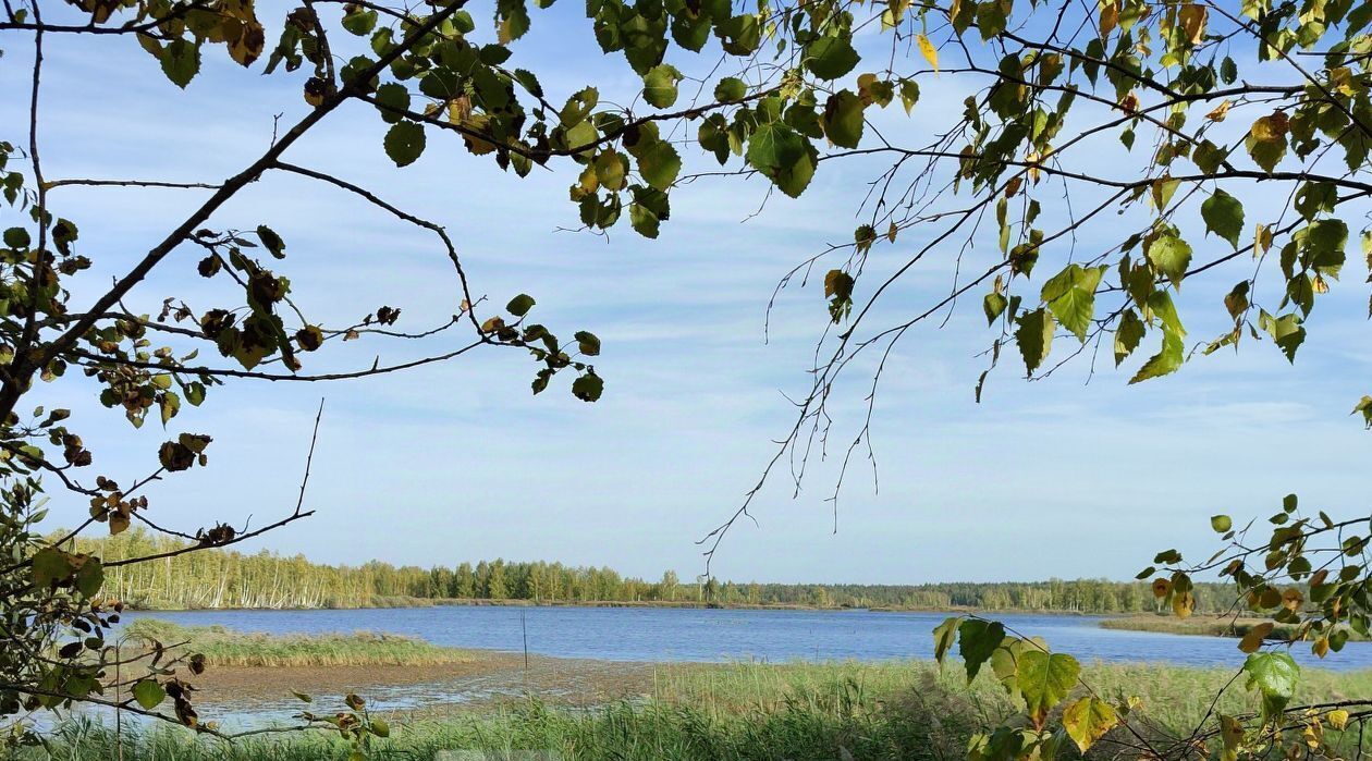 дом городской округ Шатура п Шатурторф снт Огонек Выхино, 113 фото 2