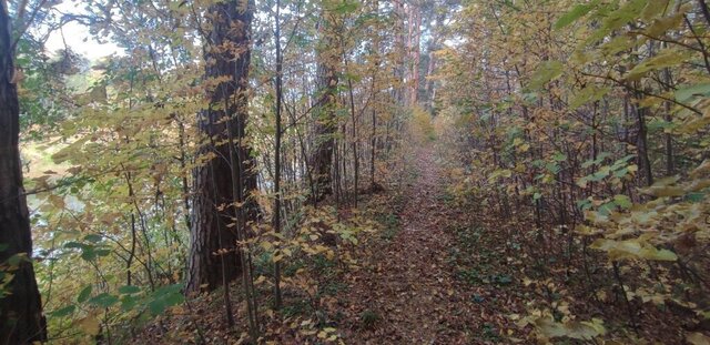 земля городское поселение Гаврилов-Ям фото