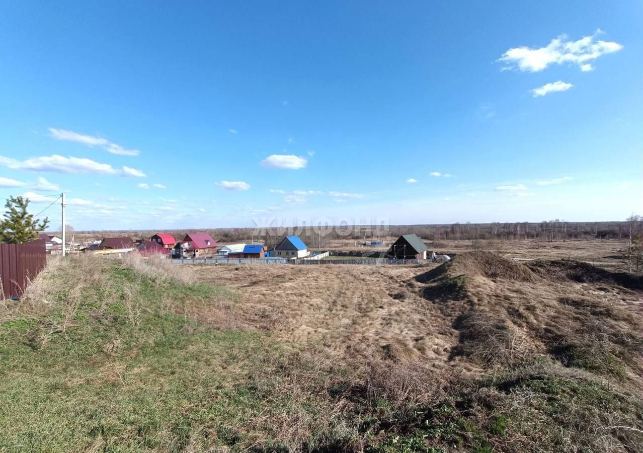 земля р-н Колыванский д Большой Оеш ул Суворова Колывань фото 6