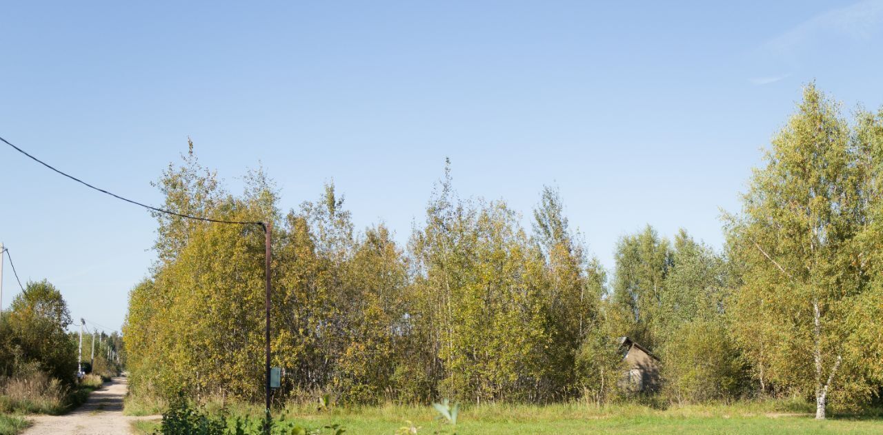 земля городской округ Клин д Колосово снт Колос 206 фото 10