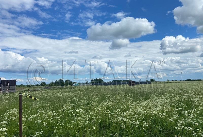 земля р-н Ломоносовский д Большое Забородье Таллинское шоссе, 9735 км, Оржицкое сельское поселение, Ропша фото 7