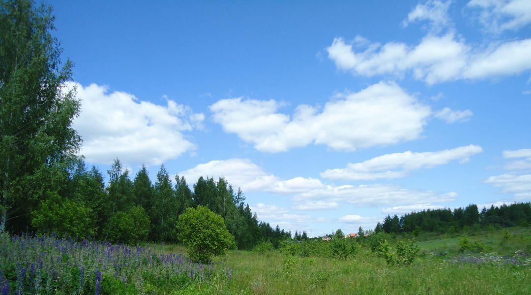 земля р-н Ленинский п Шатск Тула фото 1