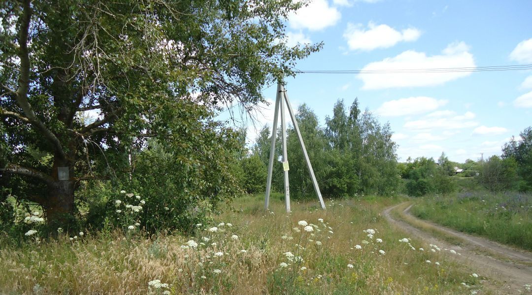 земля р-н Ленинский п Шатск Тула фото 4