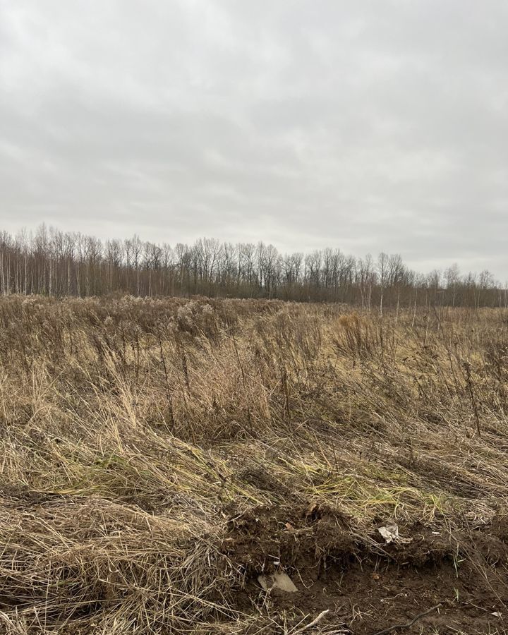 земля г Нижний Новгород д Новопавловка Буревестник фото 1