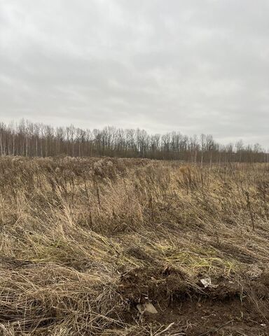 земля д Новопавловка Буревестник фото