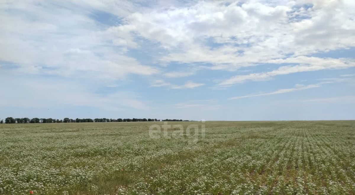 земля р-н Сакский с Витино ул Гагарина 22 Молочненское с/пос фото 3