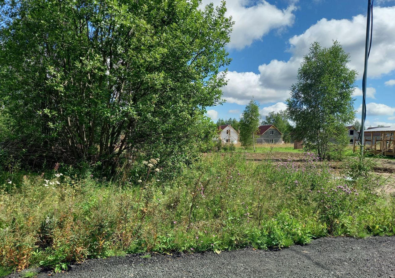 земля городской округ Пушкинский 9753 км, Софрино, Дмитровское шоссе, д. Алёшино фото 3