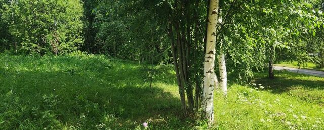 муниципальное образование Березники, Березники фото