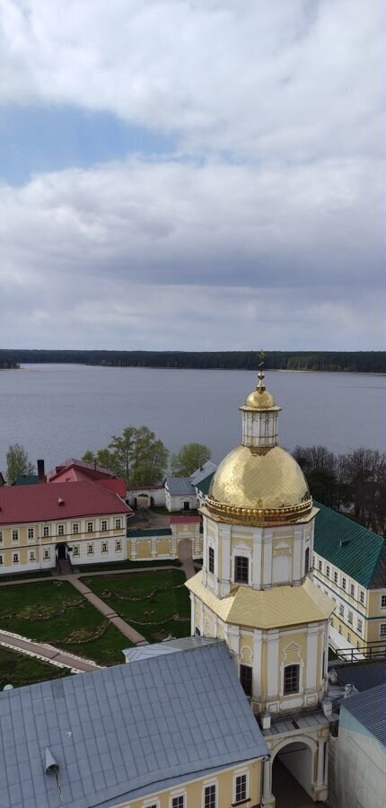 земля р-н Осташковский г Осташков д Заречье д Новые Ельцы фото 16