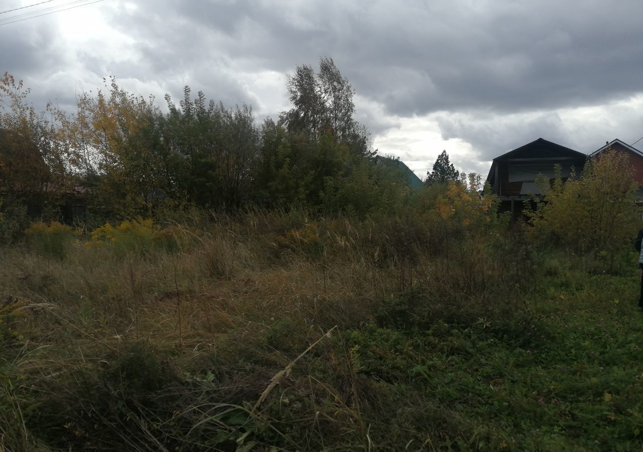 земля р-н Новосибирский с Новолуговое ул Центральная Новолуговской сельсовет фото 10