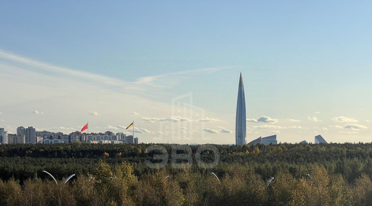 квартира г Санкт-Петербург метро Комендантский Проспект ул Плесецкая 2 фото 13