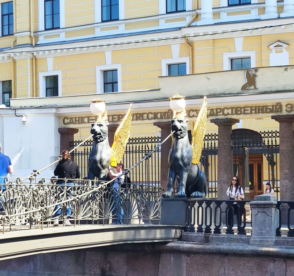 комната г Санкт-Петербург метро Невский Проспект наб Канала Грибоедова 31 фото 15