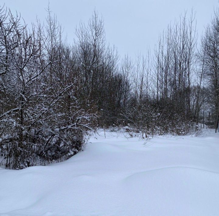 офис городской округ Талдомский д Ермолино фото 1