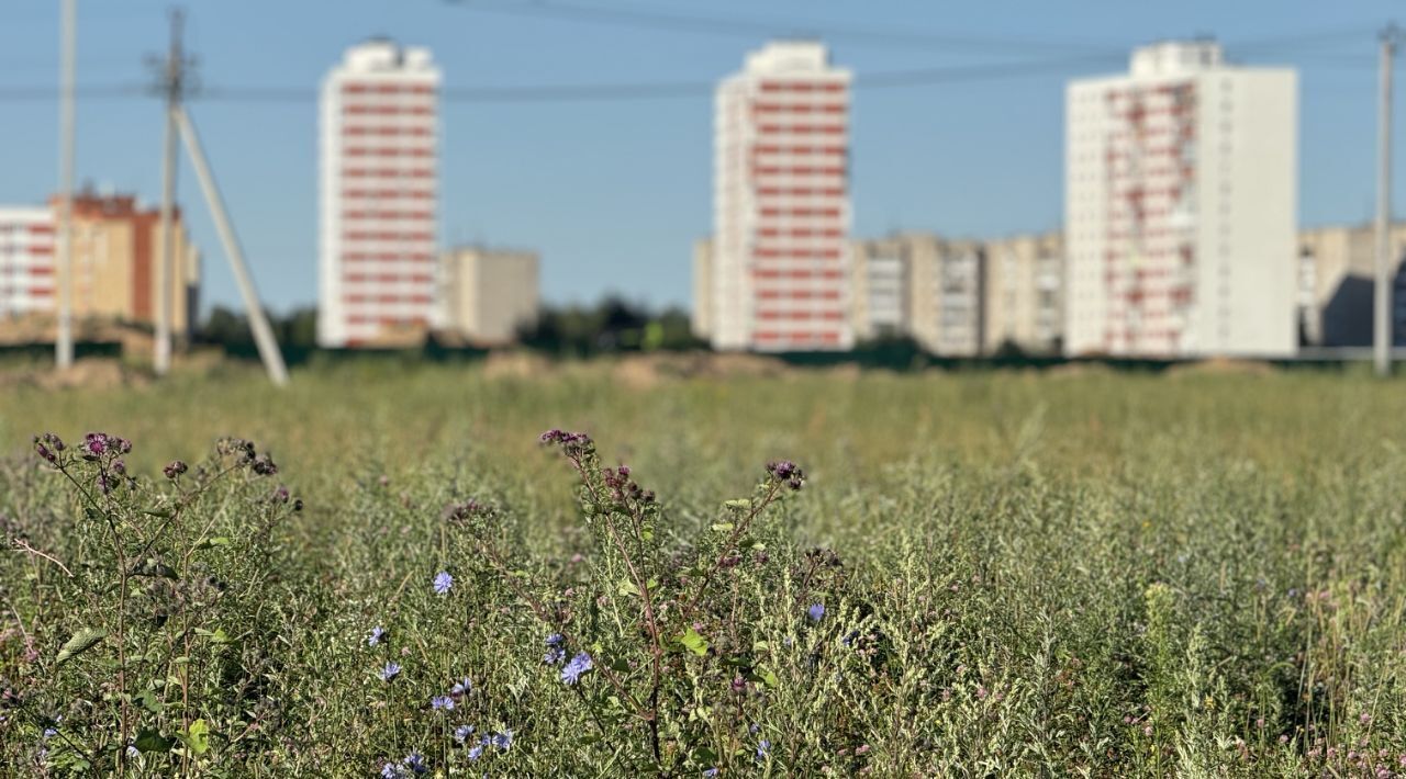 земля городской округ Пушкинский с Братовщина 58 фото 6