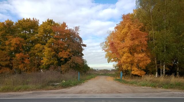 Колтушское городское поселение, Ломоносовская фото