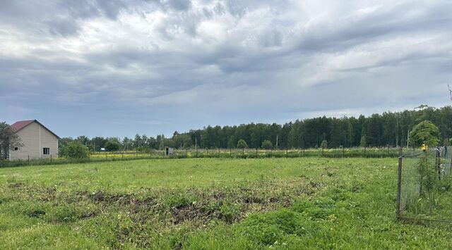 земля снт Травушкино Страховское муниципальное образование, 14 фото