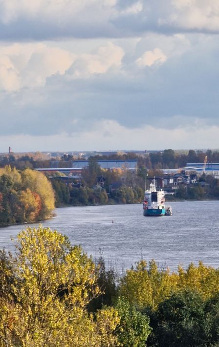 квартира г Санкт-Петербург метро Рыбацкое Усть-Славянка ул 1-я Заводская 15 округ Рыбацкое фото 22