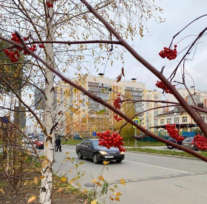 квартира г Томск р-н Октябрьский ул Павла Нарановича 1а Солнечная долина фото 28