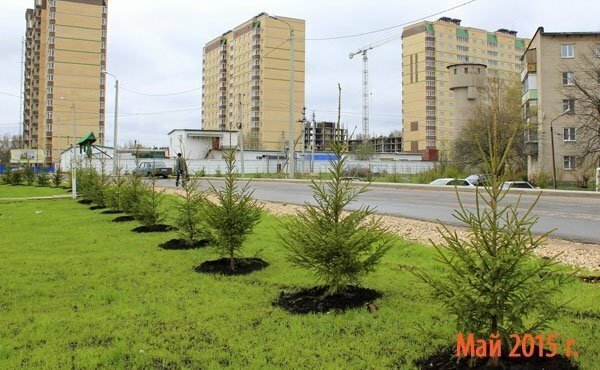 квартира г Москва метро Медведково дачный посёлок Зеленоградский, Город, Московская область, улица Зелёный, 5 фото 8