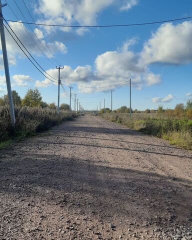 снт тер.Новое Заостровье Таллинское шоссе, 9745 км, Гостилицкое сельское поселение, аллея, Гостилицы, Восточная фото