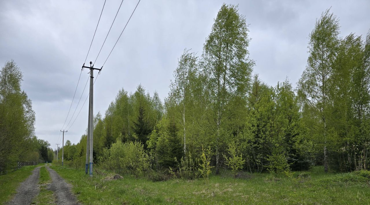 земля городской округ Солнечногорск д Повадино Зеленоград — Крюково фото 5