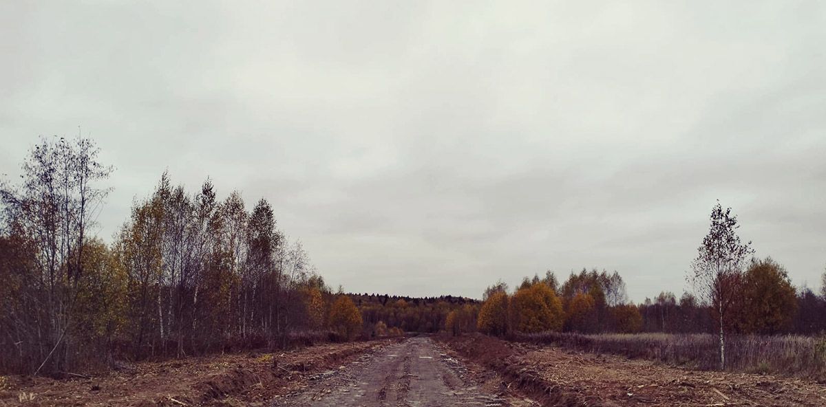 земля городской округ Дмитровский д Мелихово фото 11