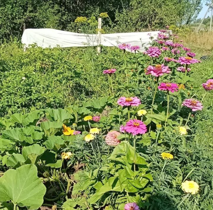 дом р-н Людиновский д Заболотье ул Победы 1 фото 5