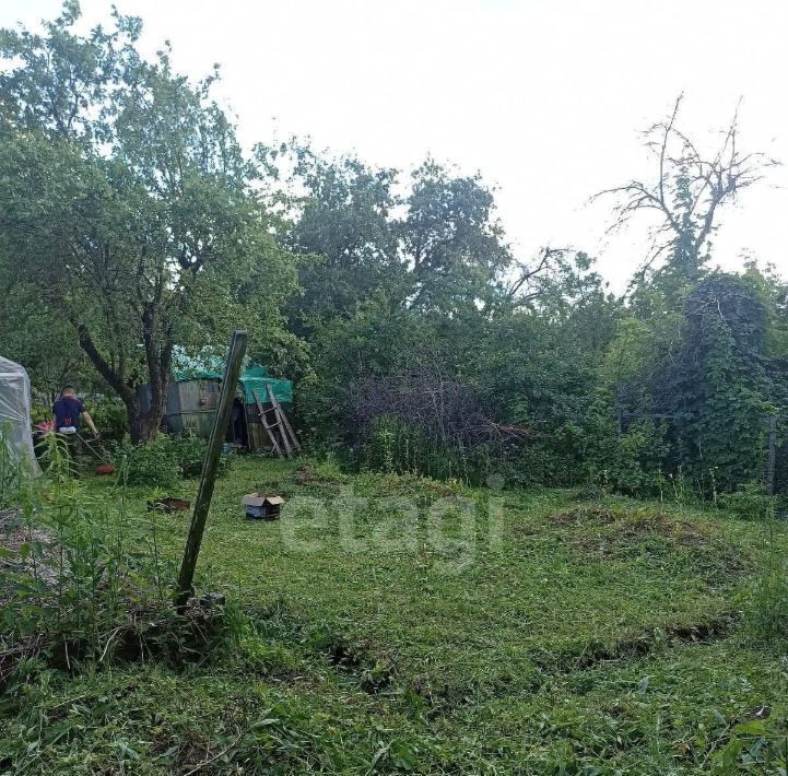 земля р-н Брянский с Супонево Супоневское с/пос, садовое общество, 1, Дубрава фото 3