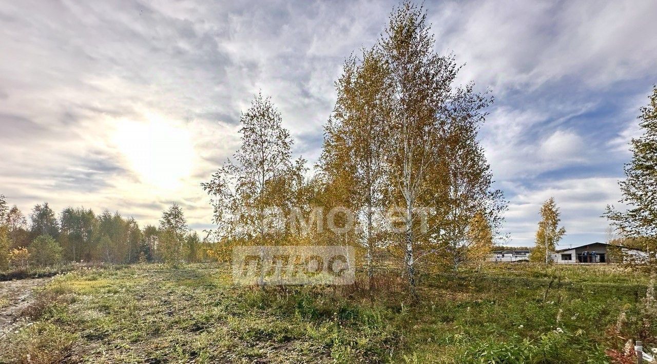 земля р-н Сосновский Кременкульское с/пос, Барышево загородный посёлок фото 9