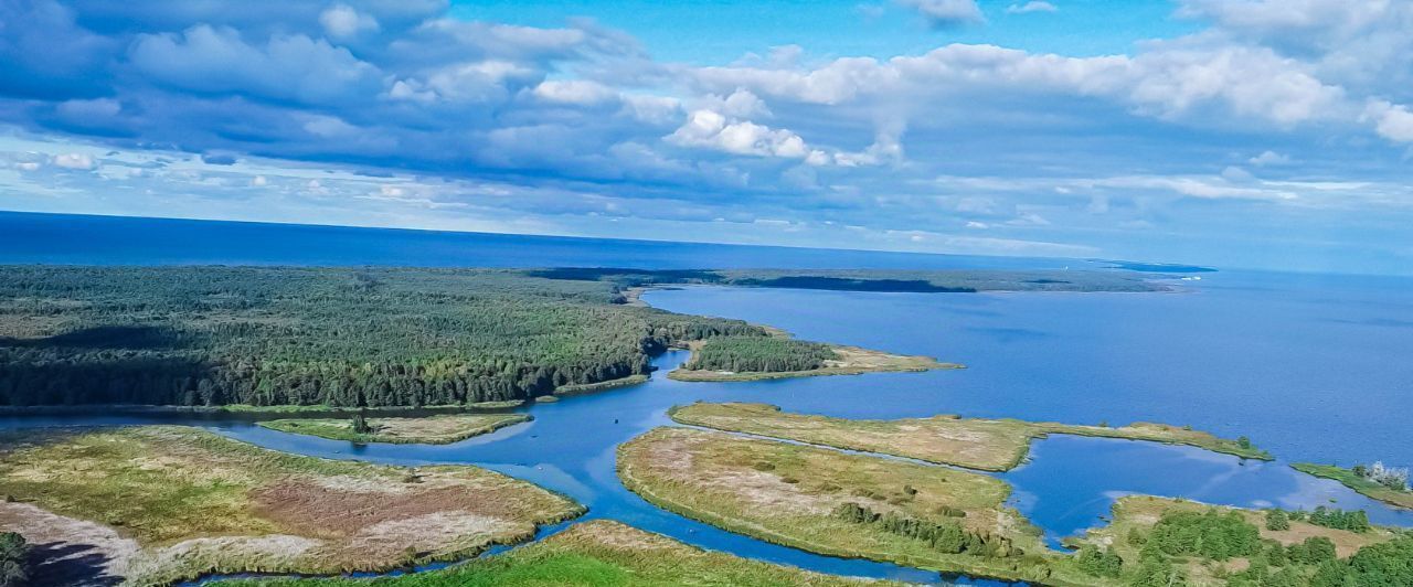 земля р-н Зеленоградский г Зеленоградск п Сосновка фото 20