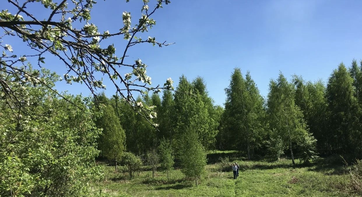 земля р-н Переславский с Берендеево Переславль-Залесский городской округ фото 6