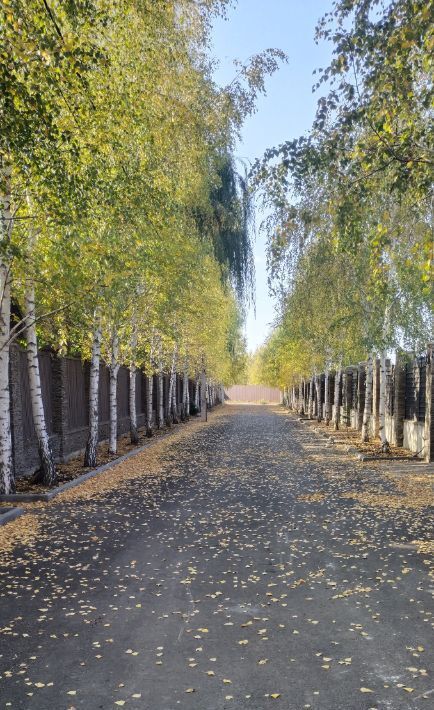 земля р-н Новоусманский с Новая Усмань ул. Краснознаменная, 86 фото 4