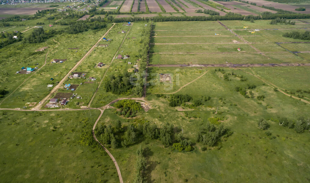 земля р-н Первомайский п Новый микрорайон Александрова слобода фото 7